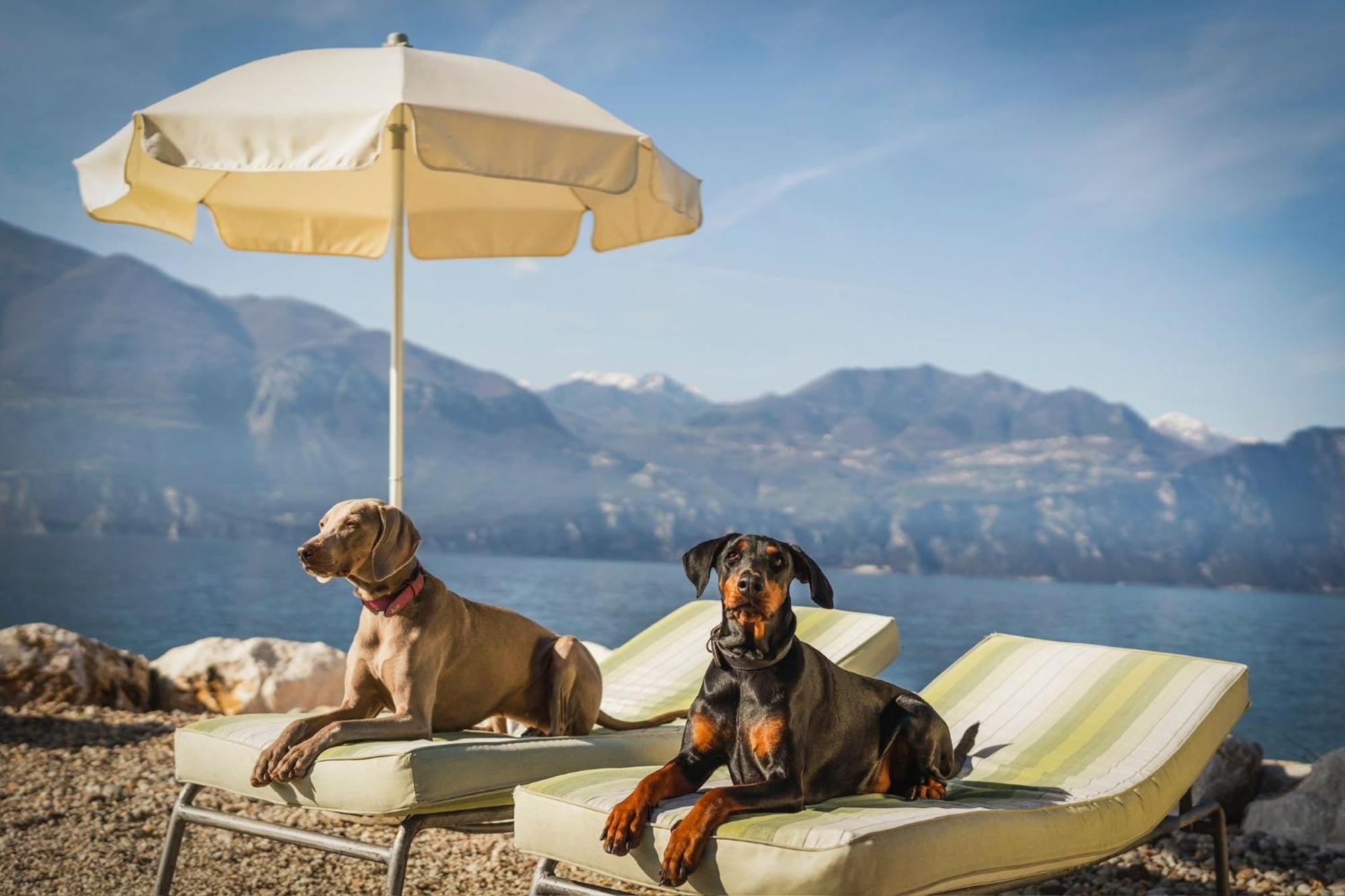 Casa Vacanze Monte Galetto Буссоленго Екстер'єр фото